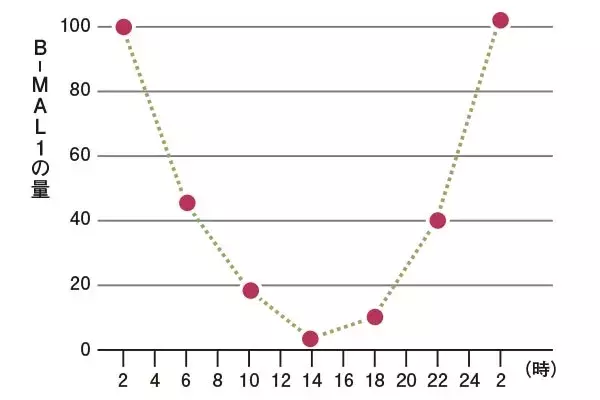 睡眠不足だと食欲旺盛に ダイエットに7時間睡眠を推す理由を減量外来医師が解説 ローリエプレス