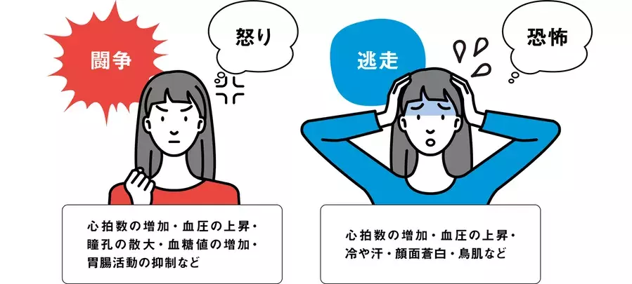 スマホはギャンブルと同じ気持ちよさを味わえる スマホ依存のメカニズムを脳から読み解く ローリエプレス