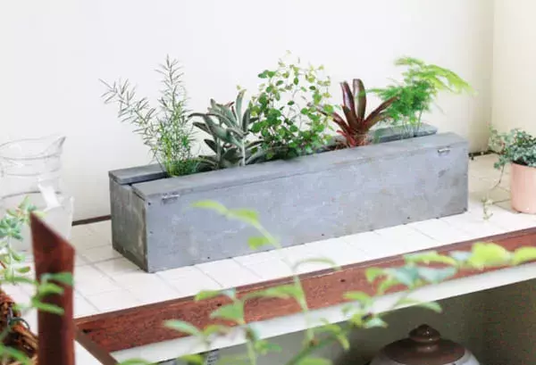 連載 植え替え不要 グリーンアレンジを手軽に楽しめる コンテナガーデン を100均diyで作ってみよう ローリエプレス