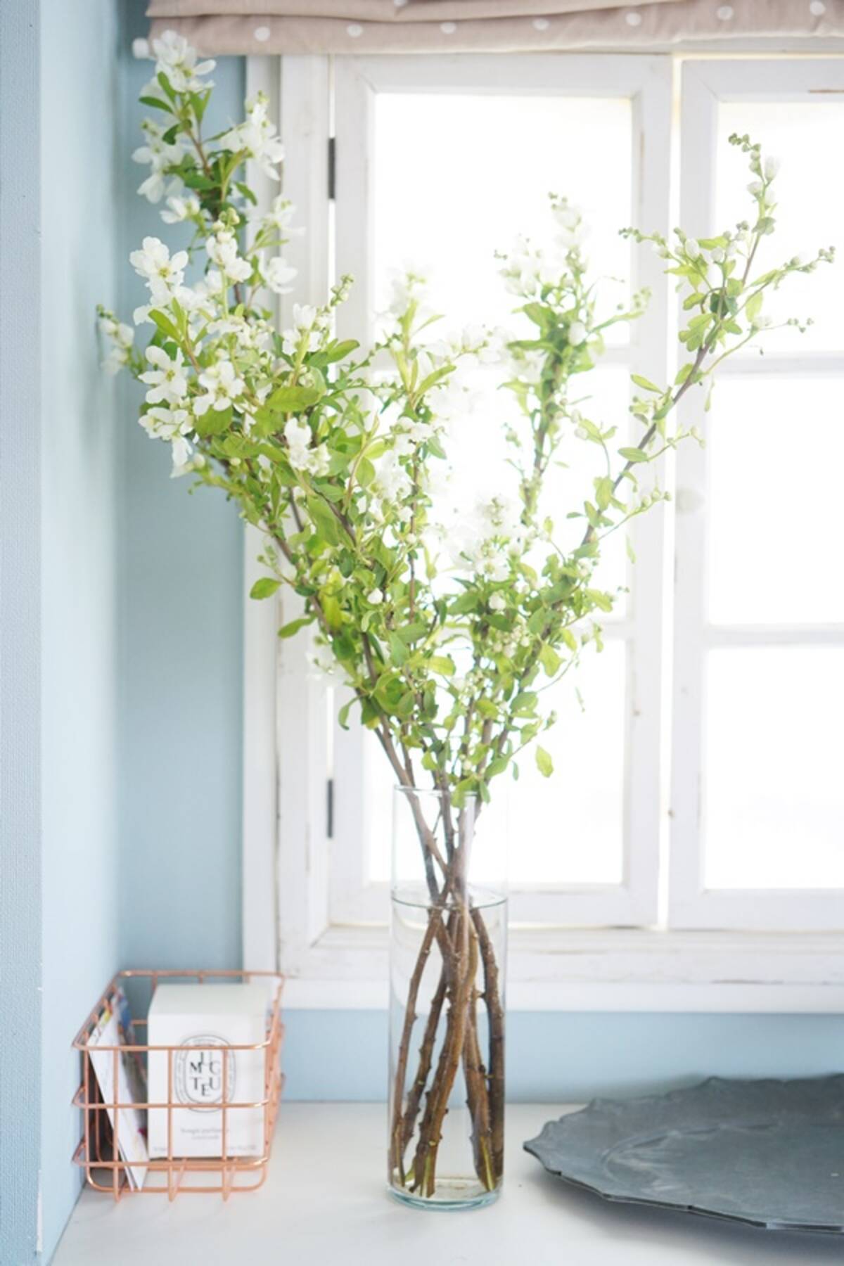 連載 ニトリ Ikea 新生活にオススメな花瓶 使いやすいフラワーベースの選び方ポイント ローリエプレス