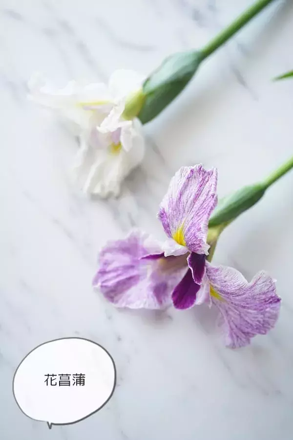 連載 端午の節句に飾る花 Ikea の花瓶で3本のお花を簡単オシャレに活けるコツ ローリエプレス