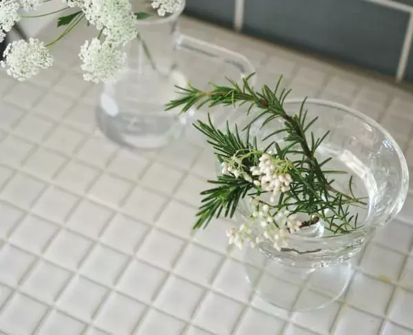 連載 もっと気軽に暮らしに取り入れよう ローズマリー簡単活用術 ローリエプレス 連載 もっと気軽に暮らしに取り入れよう ローズマリー簡単活用術 ローリエプレス