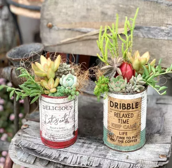 連載 セリア でお洒落なリメ缶を作ろう 母の日に手作りの多肉寄せ植えを ローリエプレス