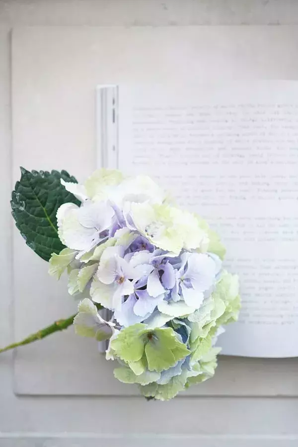 連載 ダイソー の花瓶で梅雨を楽しもう 紫陽花のオシャレな飾り方をご紹介 ローリエプレス
