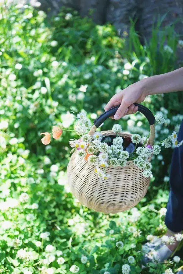 連載 大人も楽しめる野の花あそび 花活けのポイント 花冠 押し花の作り方紹介 ローリエプレス