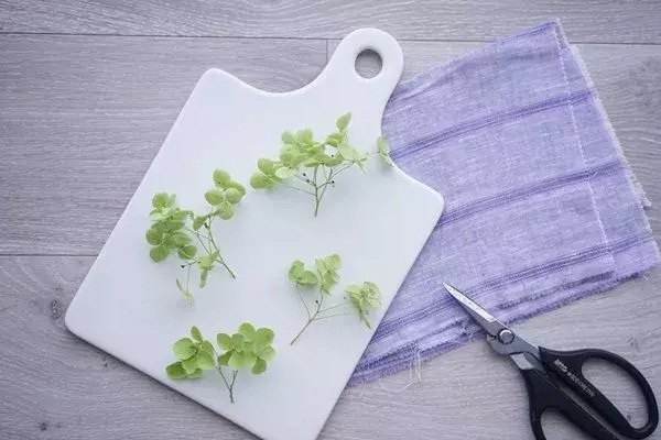 連載 100均の材料でできるアナベルのリース作り 夏から秋まで楽しめるドライフラワー ローリエプレス