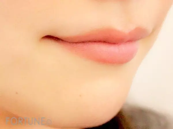 ６時間徹底検証 安くても本当に落ちないのプチプラリップ ローリエプレス