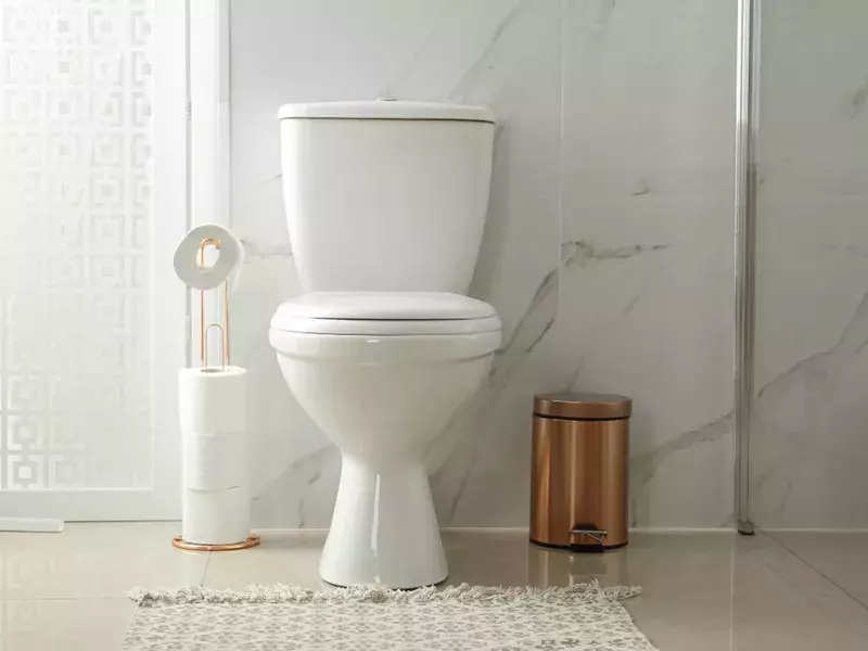 狭いトイレが広く感じる 当たり前に置きがちだけど 実はいらなかったモノ ローリエプレス