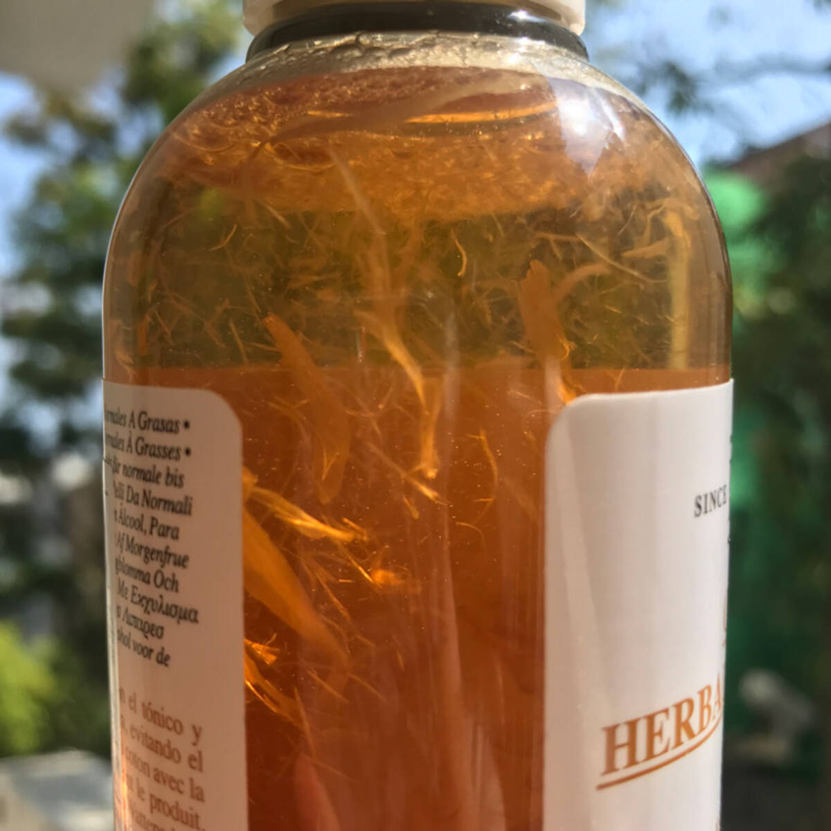 敏感になりがちな肌へ Kiehl S キールズ カレンデュラトナー で癒しのケアを ローリエプレス