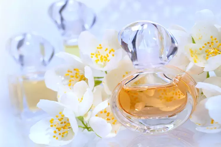 ジャスミンの香水 で気品溢れる香りを纏おう おすすめ香水を紹介 ローリエプレス