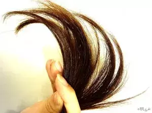 ロングヘア女子は寝るときのケアが重要 さらツヤ髪の目指し方 ローリエプレス