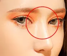 団子鼻よ さようなら 私はメイクで 鼻筋を手に入れる ローリエプレス 団子鼻よ さようなら 私はメイクで 鼻筋を手に入れる ローリエプレス