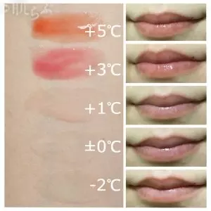 フローフシのlip38 が優秀すぎてリピ確実 カラバリ豊富で保湿力 ローリエプレス