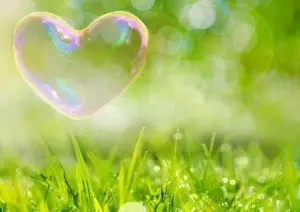 髪を綺麗にする方法 基本のお手入れからサラサラ ツヤツヤの髪を目指す ローリエプレス