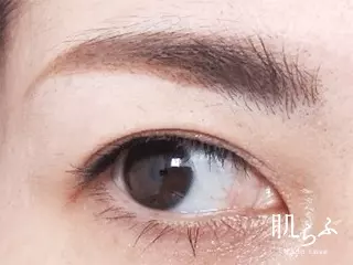 全色比較 エテュセの眉マスカラ使用感を体験レポート ローリエプレス