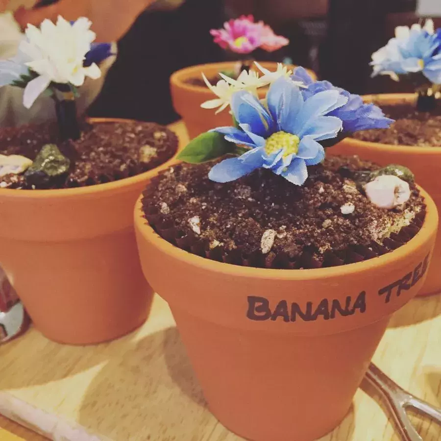 電球ソーダの次はコレ 韓国発 植木鉢スイーツ がインパクト大 ローリエプレス