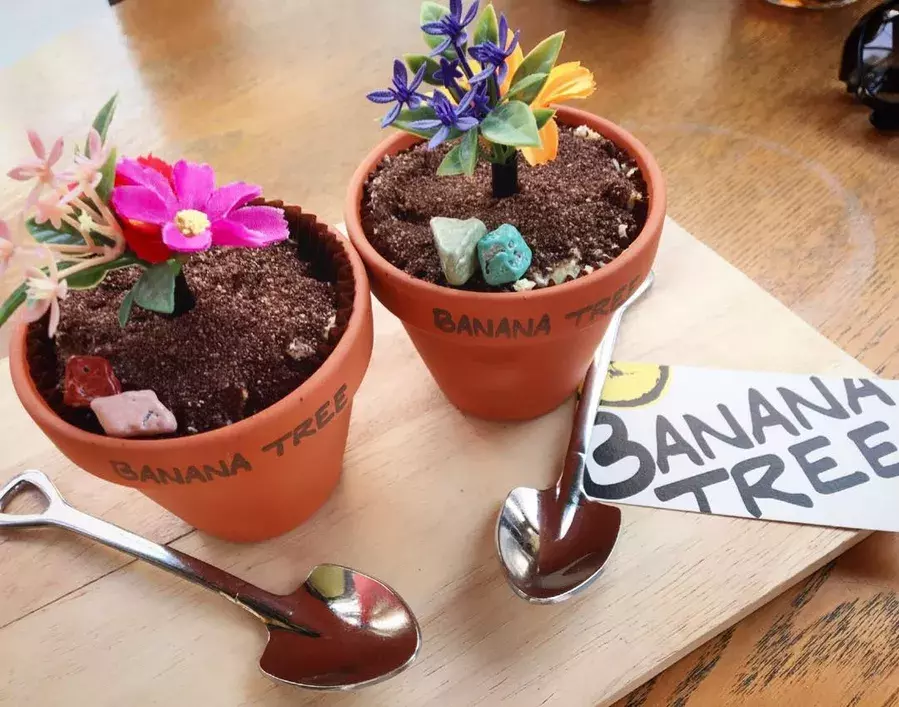 電球ソーダの次はコレ 韓国発 植木鉢スイーツ がインパクト大 ローリエプレス