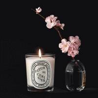 「DIPTYQUE」“桜の香り”のキャンドルで、一足早く春を感じちゃお。実際に桜を咲かせられる活動にも注目だよ
