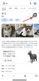 「Google」検索画面が犬の足跡やトマトだらけに!? 今すぐ試したい隠しコマンドを呼び出すキーワード9選
