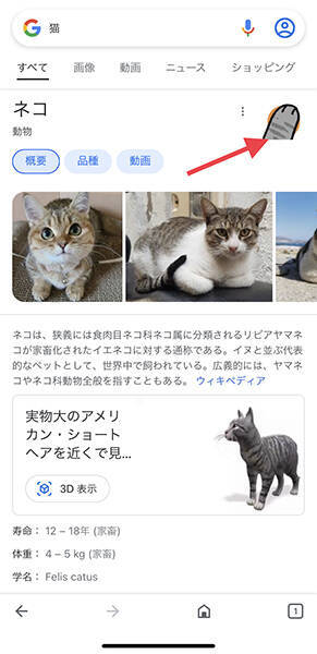 「Google」検索画面が犬の足跡やトマトだらけに!? 今すぐ試したい隠しコマンドを呼び出すキーワード9選