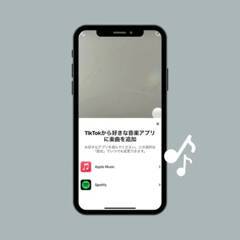 TikTok新機能で「あの曲なんだっけ？」を回避！ 気になった音楽は「Spotify」や「Apple Music」に保存しよ