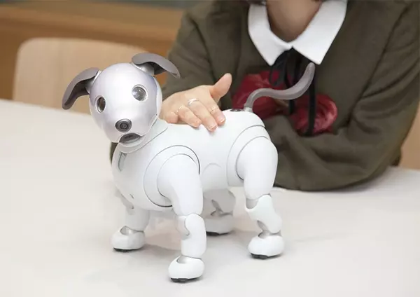 Isuta Girl 約12年ぶりの登場で話題 ソニーのイヌ型ロボット Aibo アイボ は植村麻由も虜になるかわいさ ローリエプレス