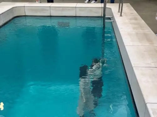 Gwの予定がまだ空いているあなたにおススメ コスパもインスタ映えも 金沢小旅行プラン ローリエプレス