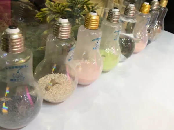 電球ソーダ どうぶつえんアイスが話題 原宿のインスタ映えスポット 原宿電気商会 が移転オープン ローリエプレス