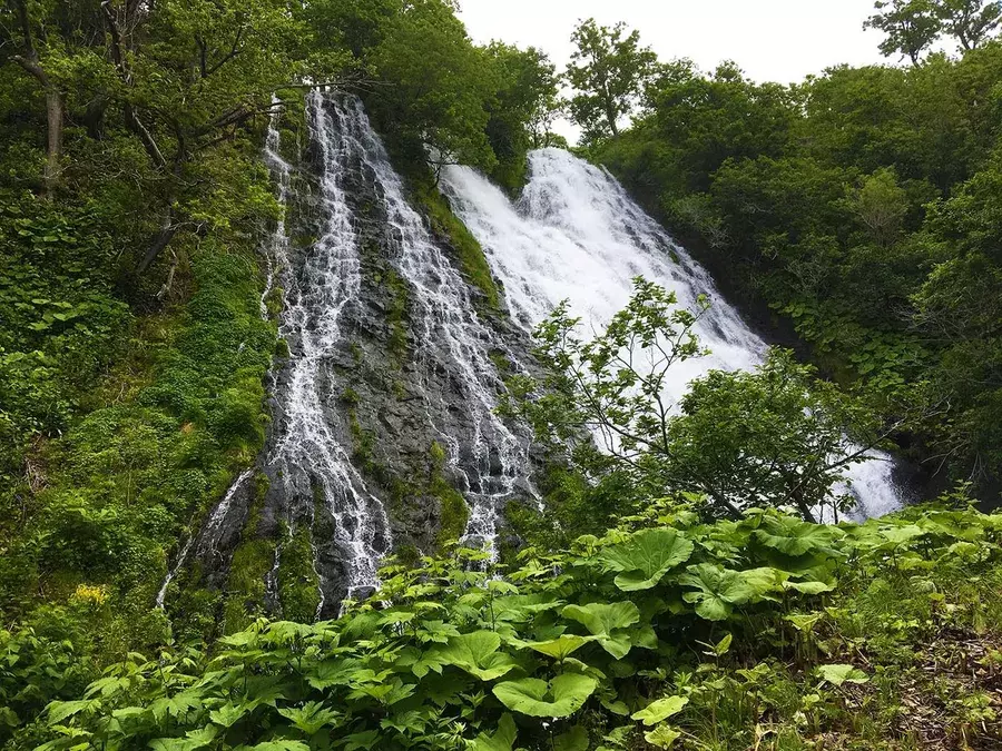 日本全県 夏に行きたい滝47選 マイナスイオンあふれる絶景パワースポット ローリエプレス