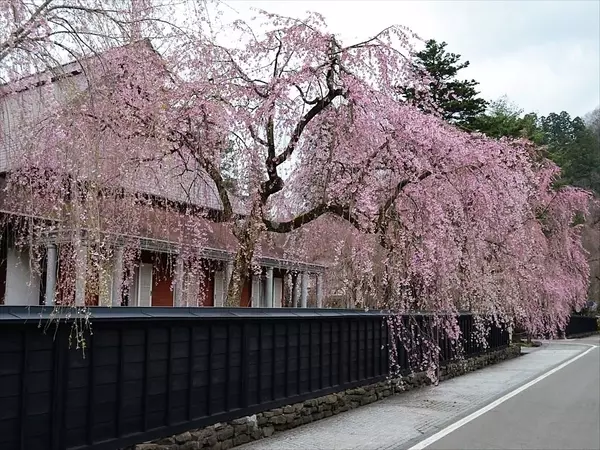 日本全県 おすすめデートスポット47選 カップルで行きたいスポットまとめ ローリエプレス