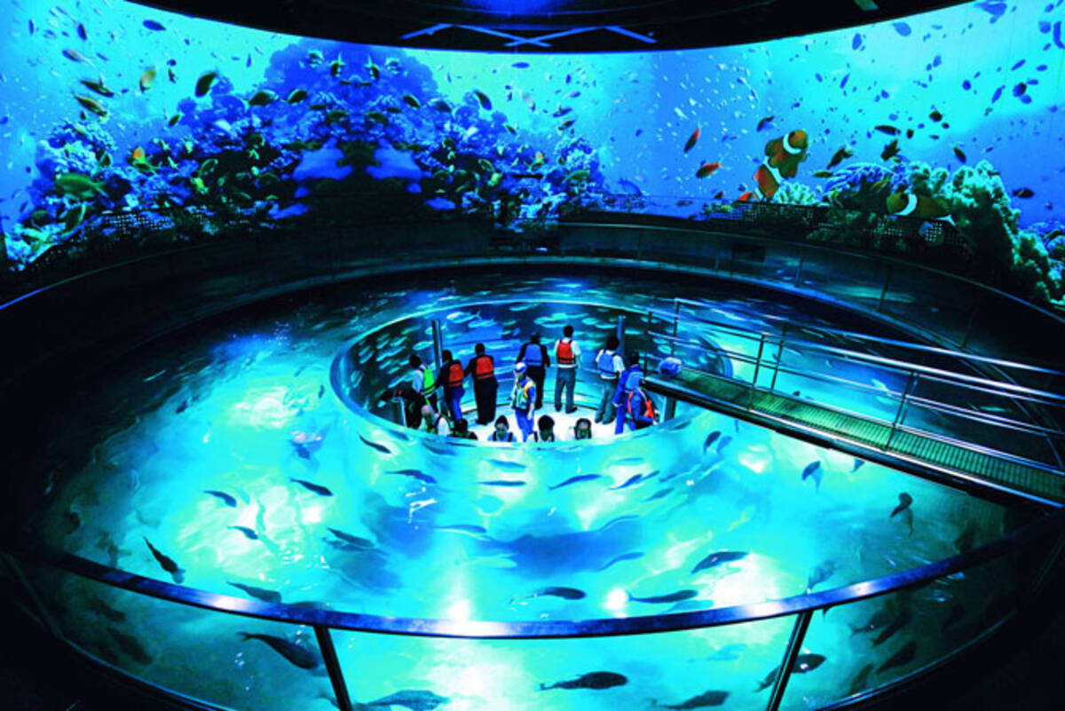 関西 雨の日デートにおすすめ 室内でも遊べるお出かけスポット19選 ローリエプレス