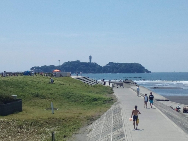 東北旅行 おすすめ カップル 夏 デート