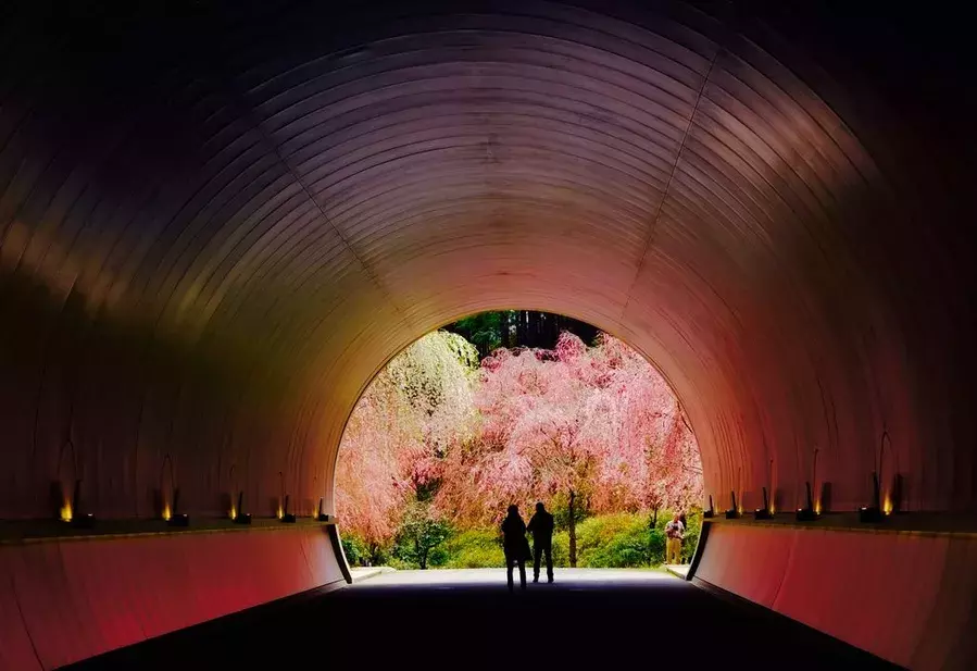 関西 カップルで行きたいデートスポット32選 定番から穴場まで ローリエプレス 関西 カップルで行きたいデートスポット32選 定番から穴場まで ローリエプレス