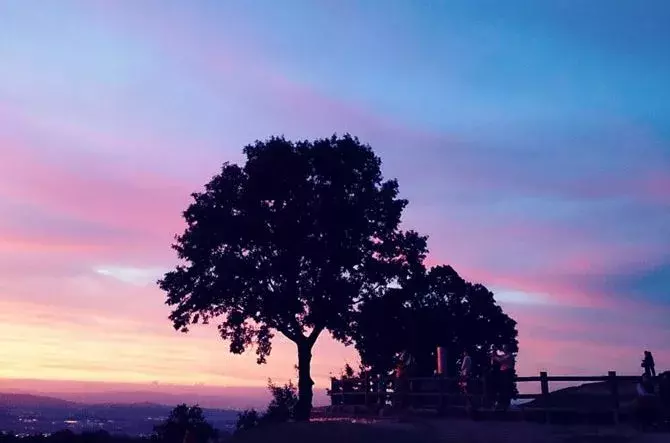 関西 日帰りドライブおすすめスポット51選 デートや絶景巡りに ローリエプレス 関西 日帰りドライブおすすめスポット51選 デートや絶景巡りに ローリエプレス