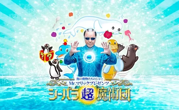 東京近郊 デートにおすすめの水族館9選 天空のペンギンやナイトイベントも ローリエプレス