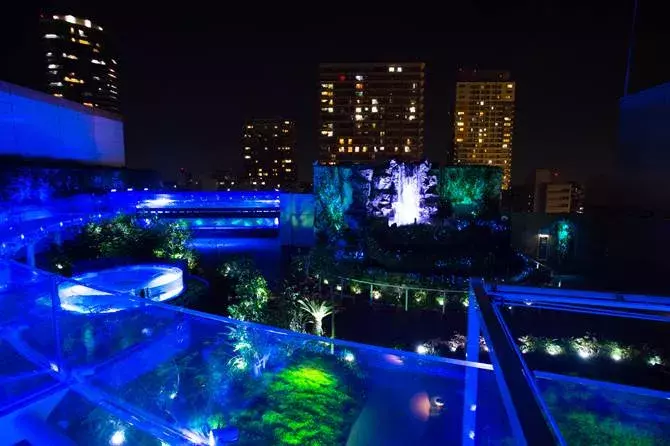 東京近郊 デートにおすすめの水族館9選 天空のペンギンやナイトイベントも ローリエプレス