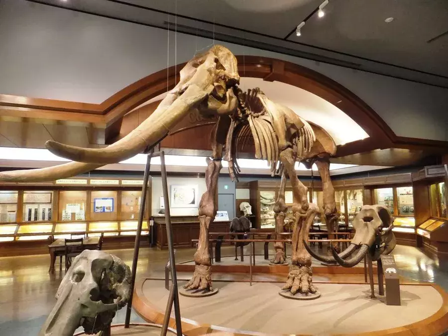 関西 雨の日のお出かけに 室内で遊べるスポット30選 観光にもおすすめ ローリエプレス 関西 雨の日のお出かけに 室内で遊べるスポット30選 観光にもおすすめ ローリエプレス