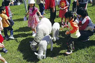 東北 子連れにおすすめ 人気の遊び場 おでかけスポット26選 ローリエプレス