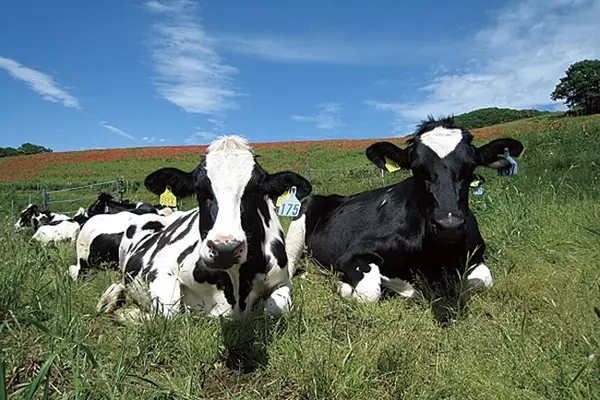 関東 子連れでおでかけ 小さな子ども 赤ちゃんと楽しめるおすすめスポット63選 ローリエプレス