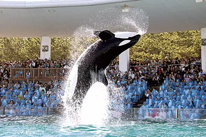 関東 子連れでおでかけ 小さな子ども 赤ちゃんと楽しめるおすすめスポット63選 ローリエプレス