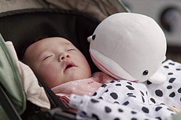 関東 子連れでおでかけ 小さな子ども 赤ちゃんと楽しめるおすすめスポット63選 ローリエプレス