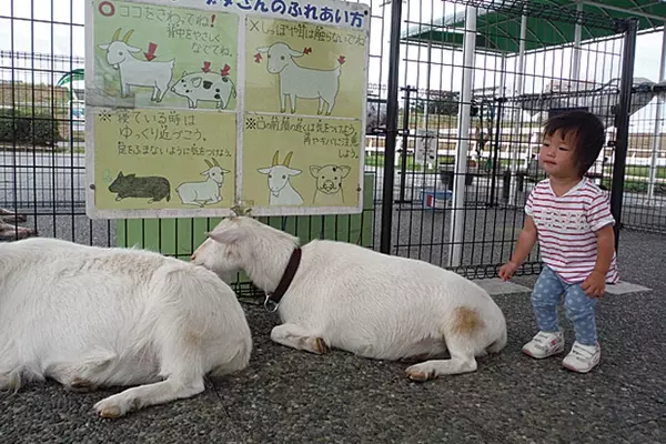 関東 子連れでおでかけ 小さな子ども 赤ちゃんと楽しめるおすすめスポット63選 ローリエプレス