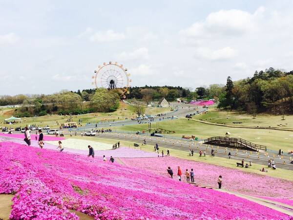 関東 日帰りデートおすすめスポット18選 東京から片道約2時間以内で行ける ローリエプレス