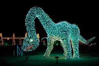 東北 2月 3月おすすめイベント18選 観光やデートにも 19 ローリエプレス