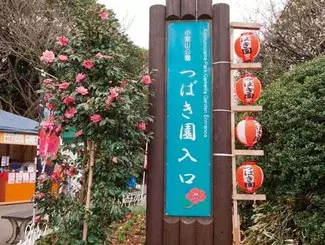 関東近郊 19年2月 3月が見頃の 花イベント 花まつり 11選 ローリエプレス