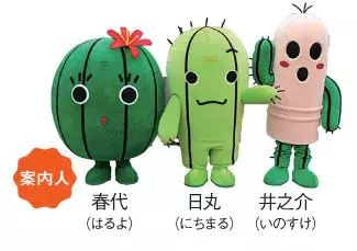 多肉植物だらけの町へ潜入 住民はサボテンを食べていた 愛知 ローリエプレス