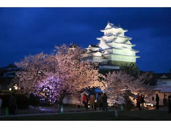 19 全国 夜桜ライトアップイベント 30選 期間限定の絶景を見に行こう ローリエプレス