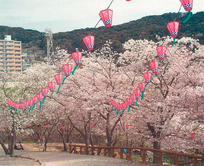 19 九州の 絶景桜 55選 名所から花見におすすめの穴場まで 見頃情報も ローリエプレス