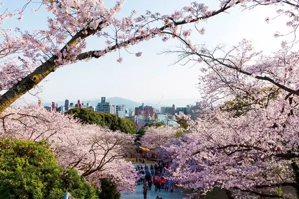 19 九州の 絶景桜 55選 名所から花見におすすめの穴場まで 見頃情報も ローリエプレス