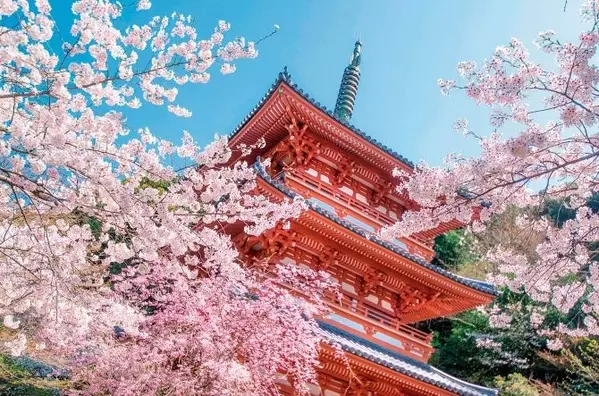 19 九州の 絶景桜 55選 名所から花見におすすめの穴場まで 見頃情報も ローリエプレス